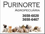 Purinorte